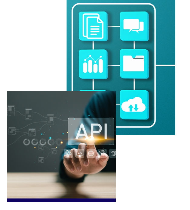 about api testing training